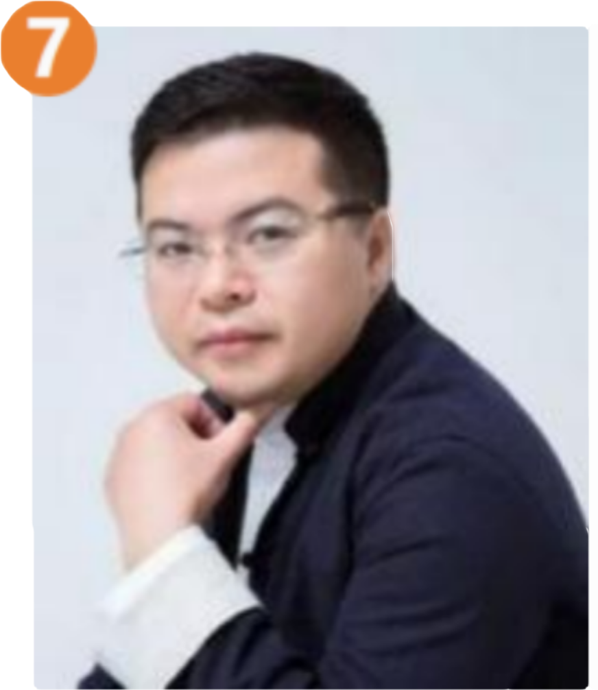 龙